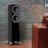 Fyne Audio F-502 SP